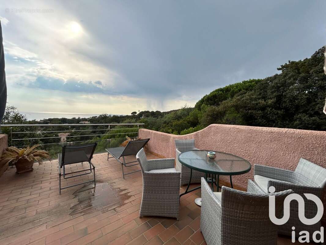 Photo 2 - Maison à PIETROSELLA