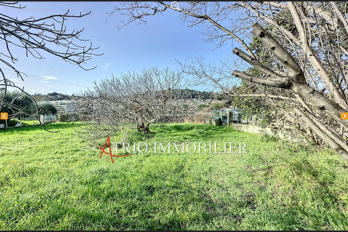 Terrain 650 m² à Cagnes-Sur-Mer  - photo 3