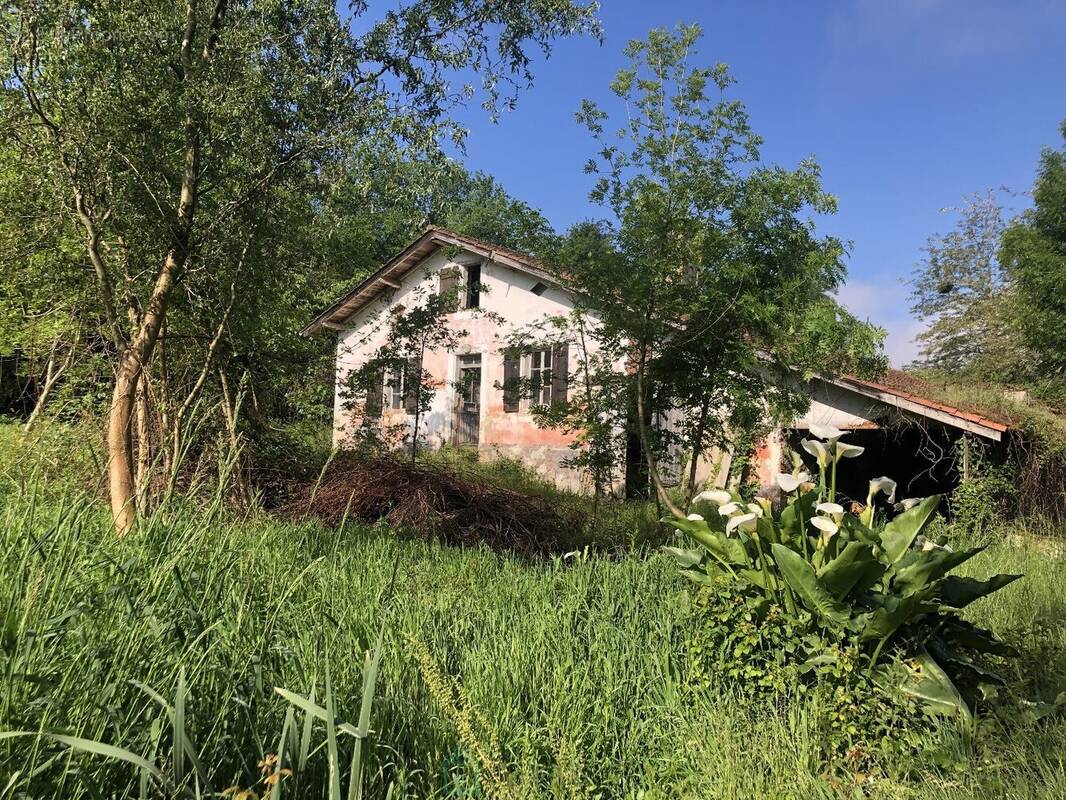 Maison à POYANNE