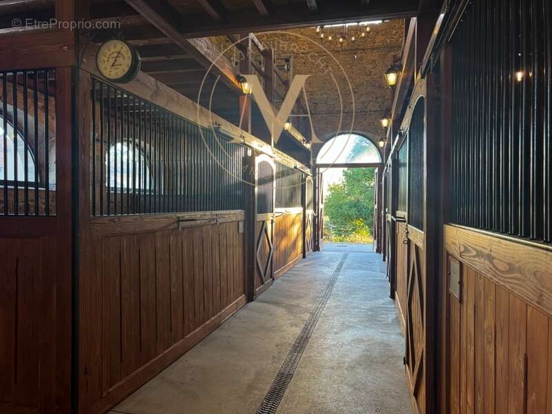 Propriété d’exception où chaque détail a été pensé pour le cheval… et pour ceux qui l’aiment proche de LAPLUME (47) - photo 5