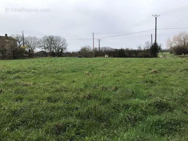 Terrain à FOUSSAIS-PAYRE