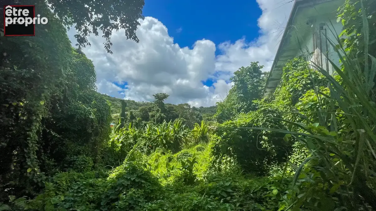 Terrain de 2 016 m2 en vente à Trinité - photo 8