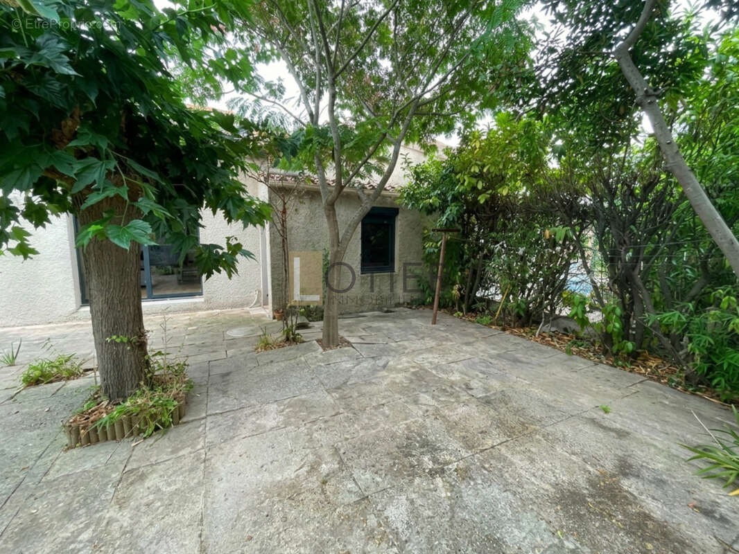 TRÈBES   Maison 3 faces, 3 chambres, suite parentale, jardin et belles prestations - photo 22
