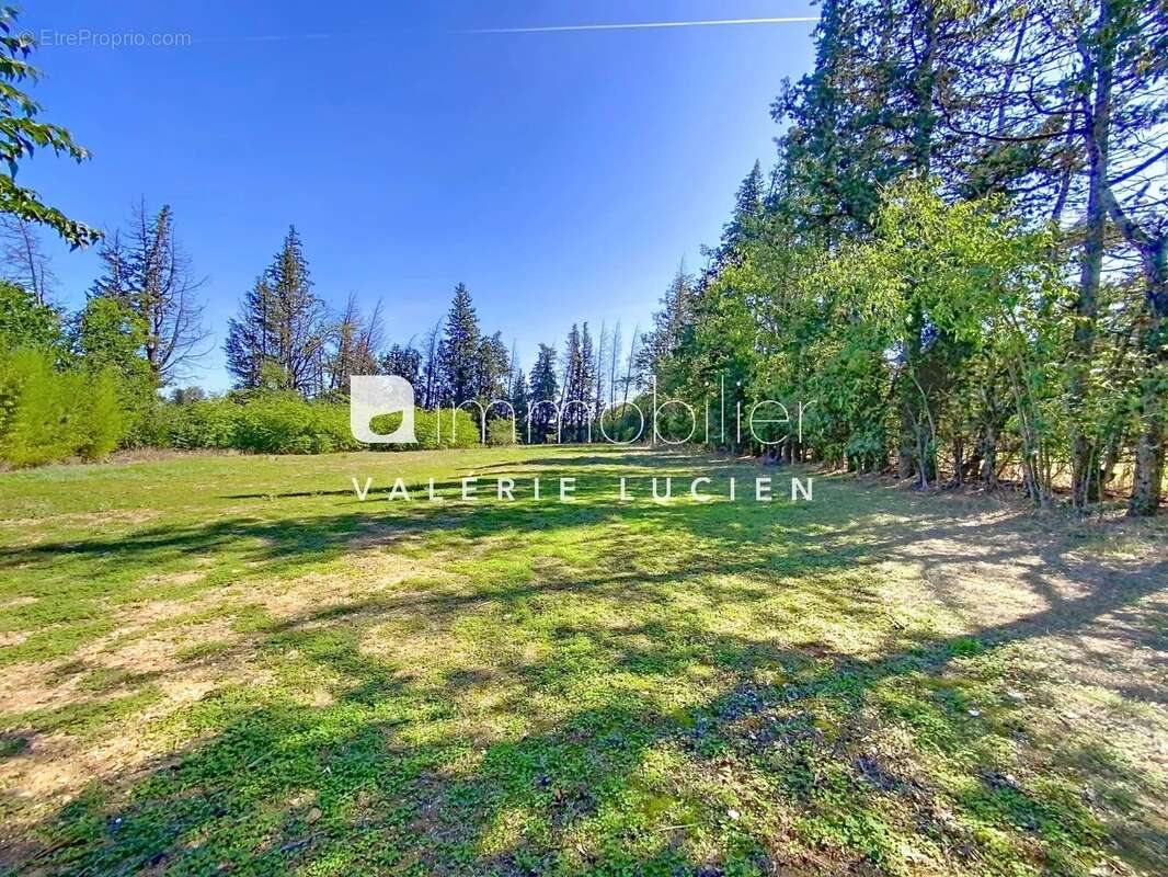 Maison à SAINT-REMY-DE-PROVENCE