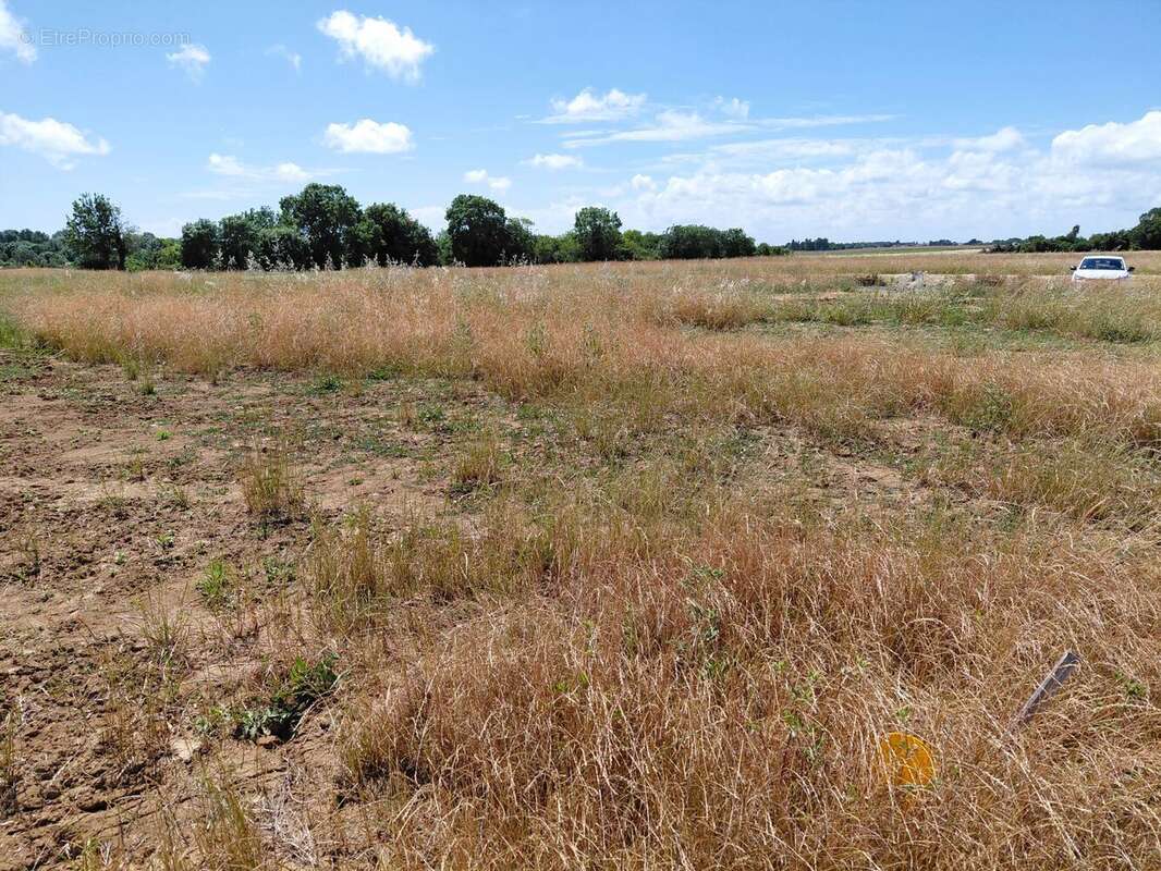 Terrain à bâtir de 474 m² à SAINT-NAZAIRE-SUR-CHARENTE (17) - photo 3