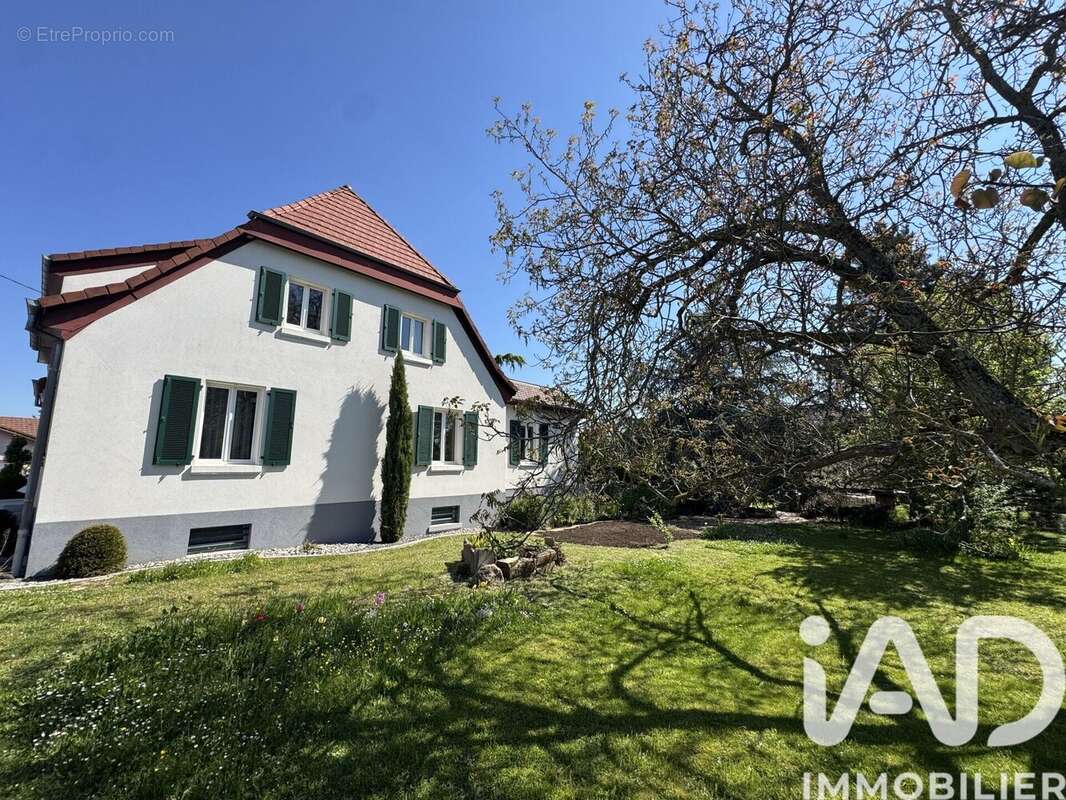 Maison 290 m² à Cernay  - photo 2