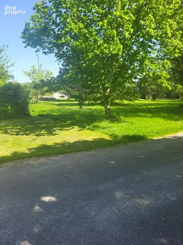 À vendre    ancien château réhabilité    parc +4 hectares - photo 11