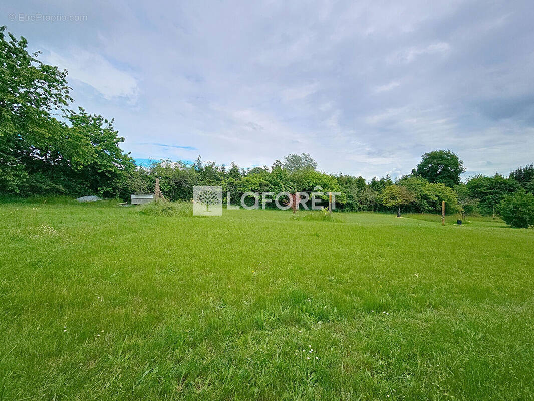 Terrain à TAUPONT