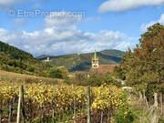 Terrain à CHATENOIS