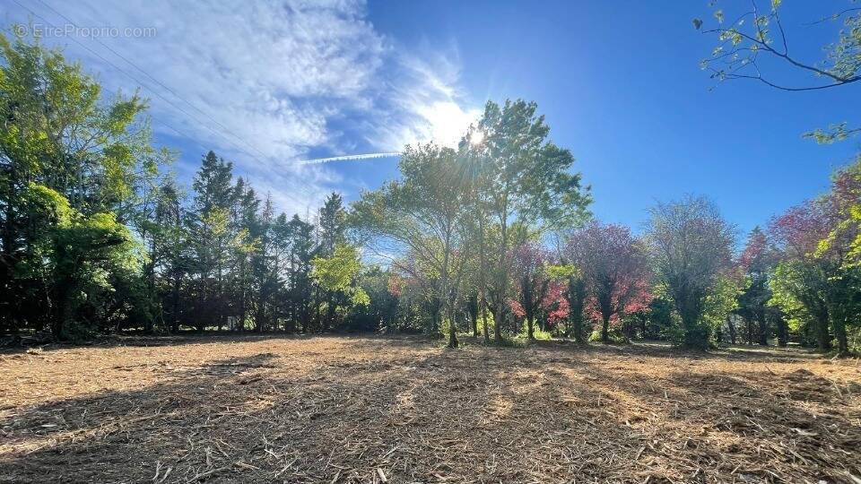Terrain à LABASTIDE-BEAUVOIR