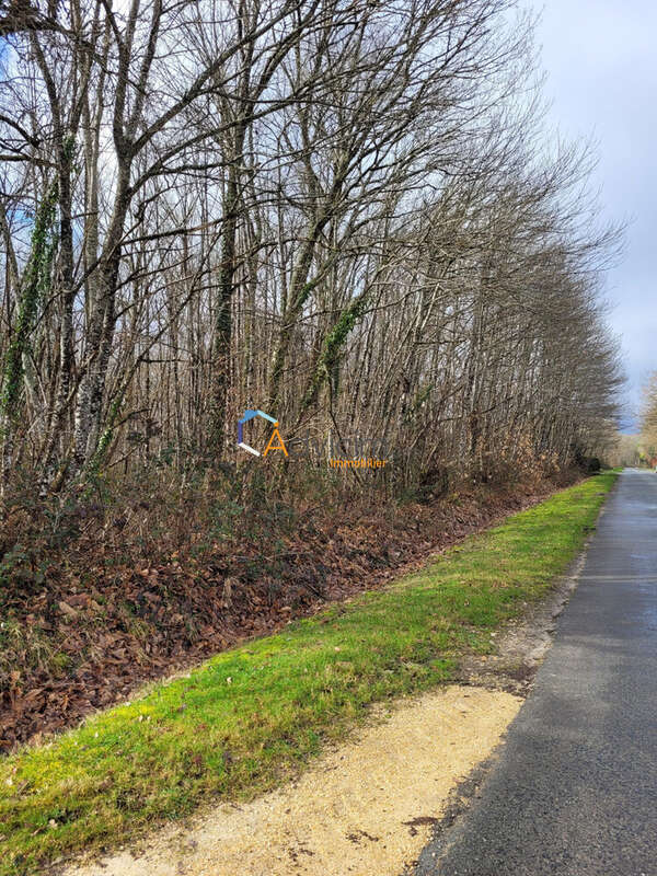 Terrain à PRESLY
