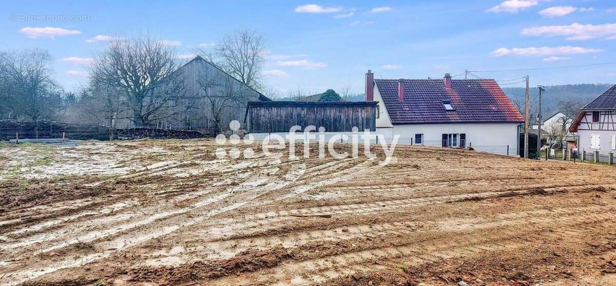 Terrain à SAINT-BERNARD