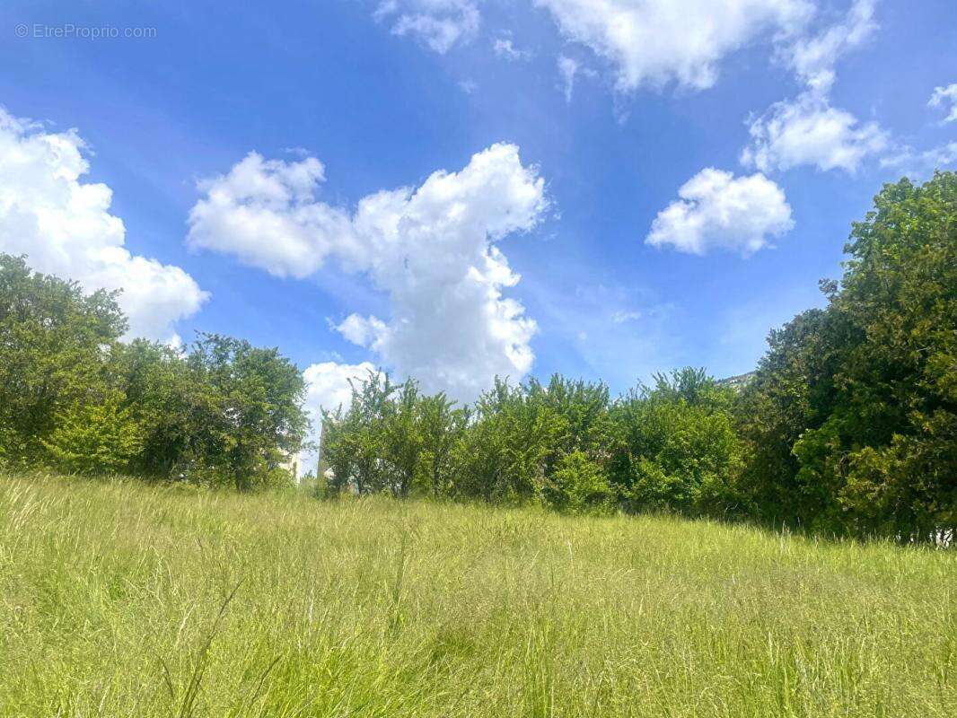 Terrain à SAINT-LIONS