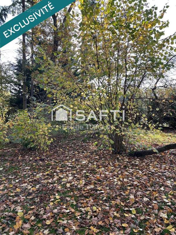 Photo 3 - Terrain à HOLVING