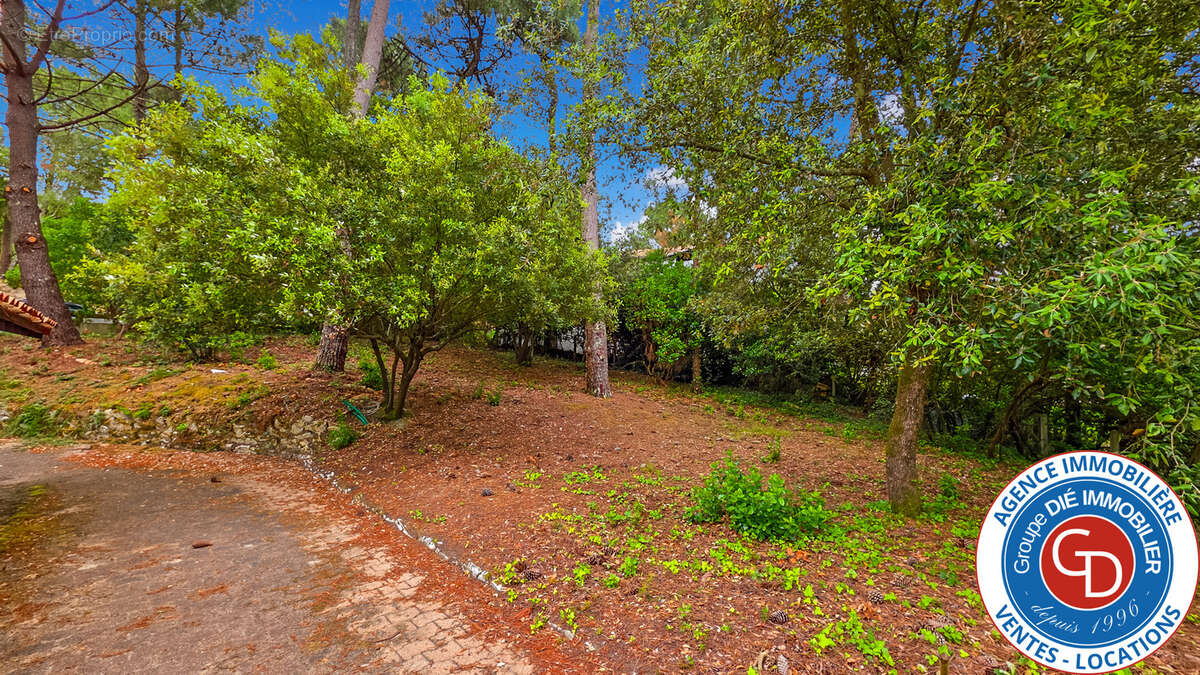 Maison à LE BOUSCAT