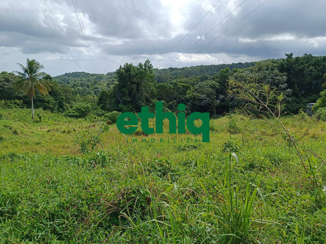 Terrain à SAINTE-ROSE