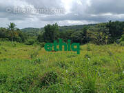 Terrain à SAINTE-ROSE