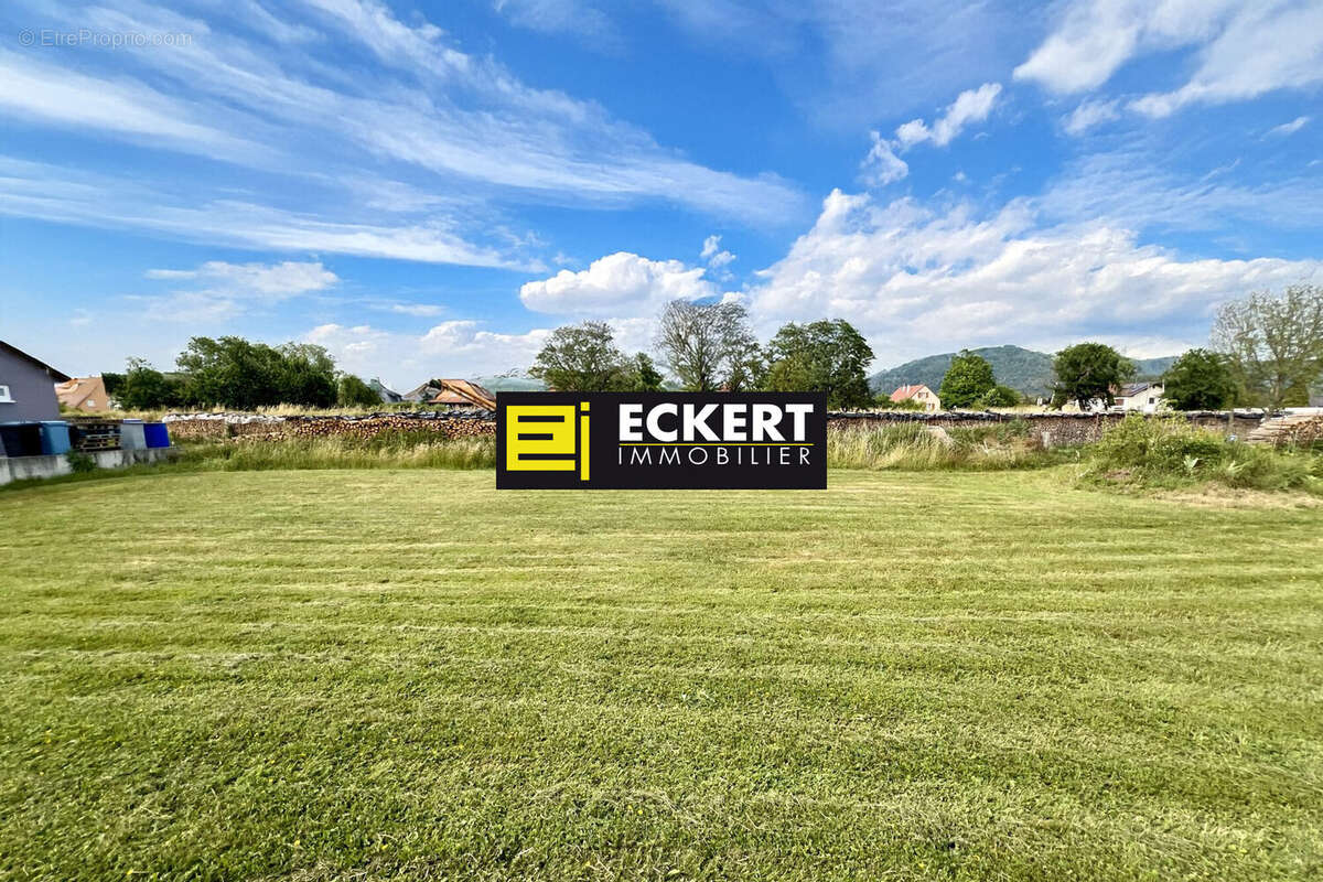 Terrain à GRESSWILLER