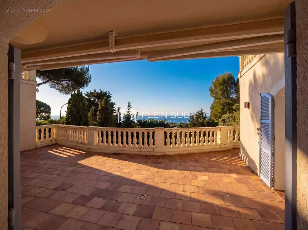 Saint Jean Cap Ferrat, emplacement exceptionnel ! - photo 5