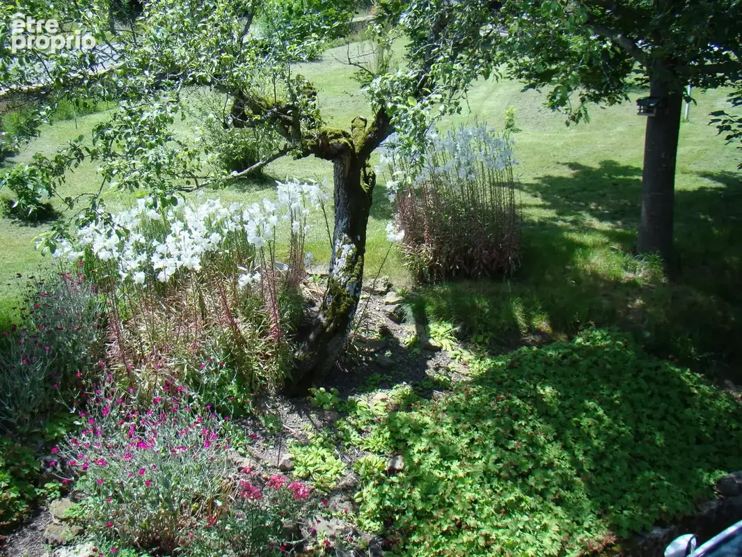 Propriété de caractère à vendre 6 pièces MAZILLE (71) dans le clunisois - photo 3