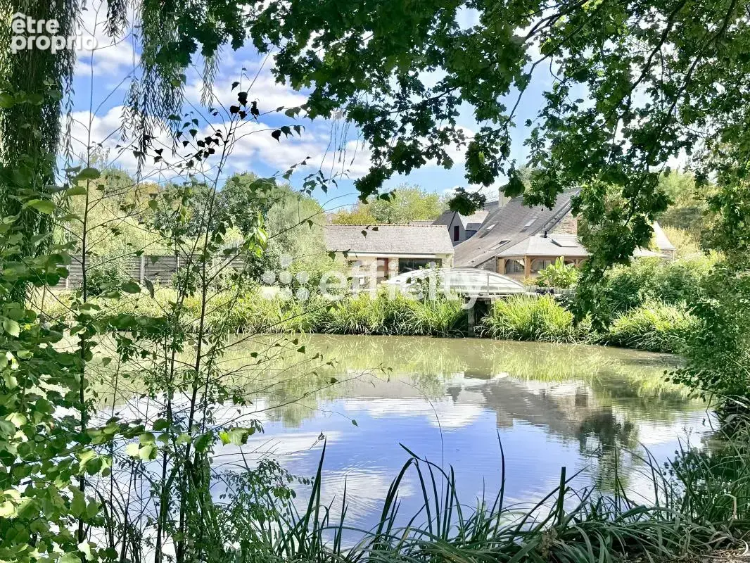 Propriété - photo 13