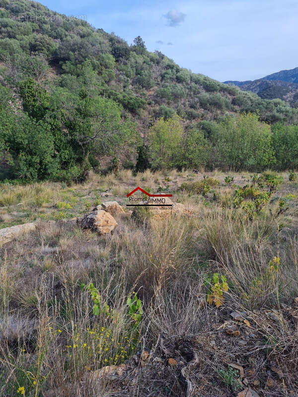 Terrain à BANYULS-SUR-MER