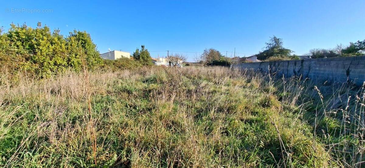 Terrain à MARENNES