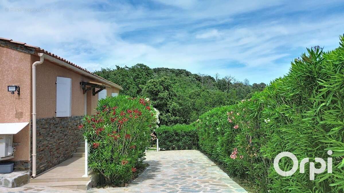 Maison à PORTO-VECCHIO