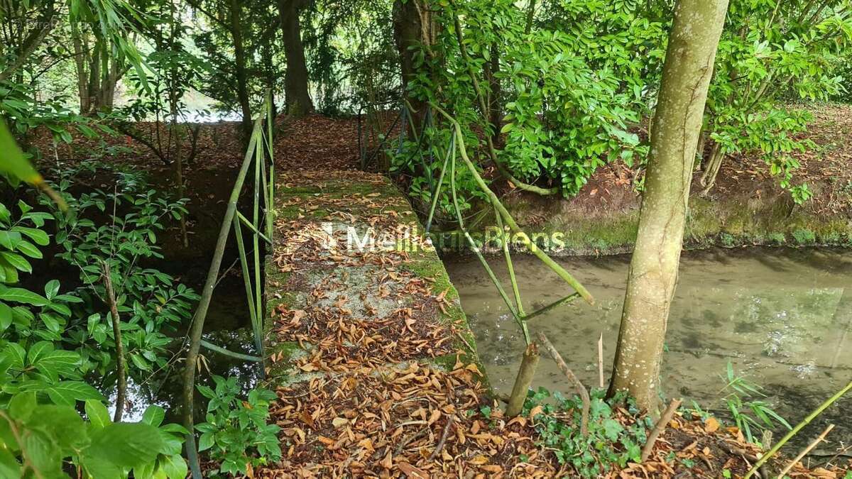 Terrain à MEZIDON-CANON