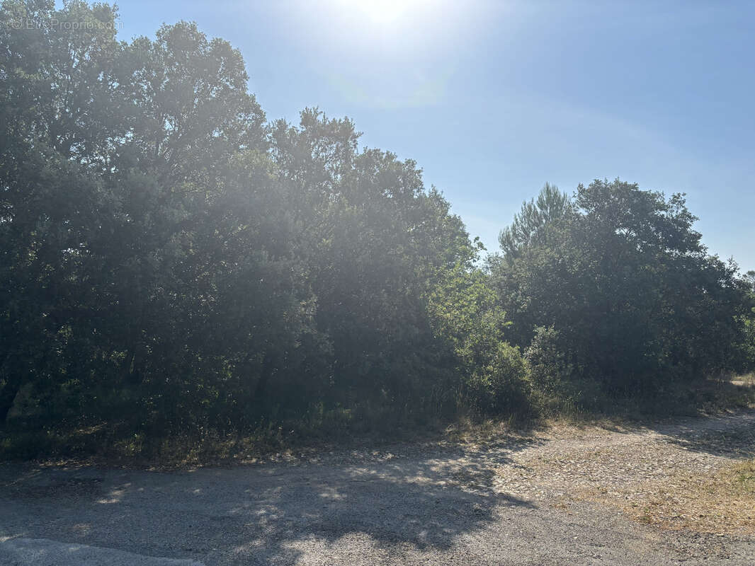 Terrain constructible 2000 m2 Saint-Martin-de-Pallières - photo 6