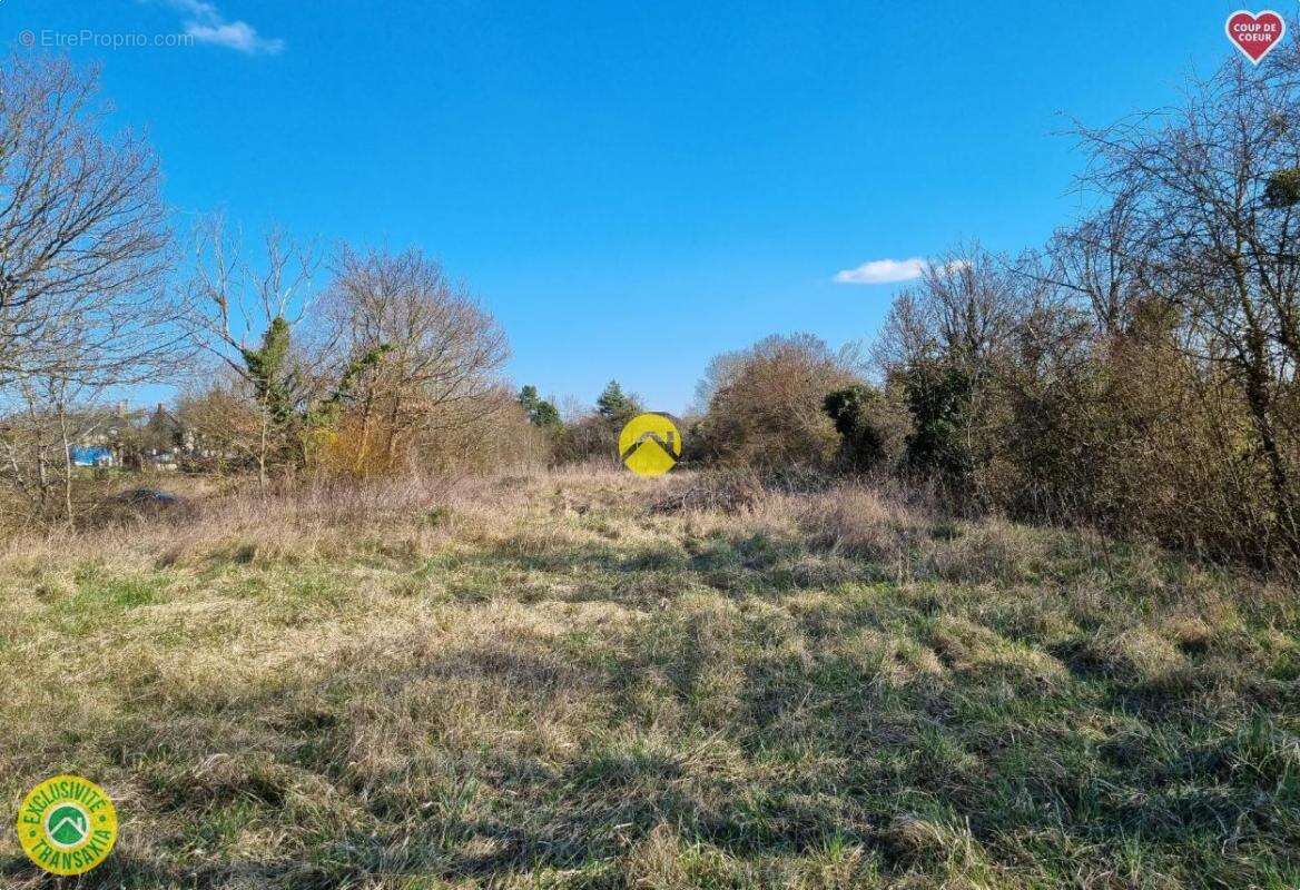 Terrain à PRUNIERS