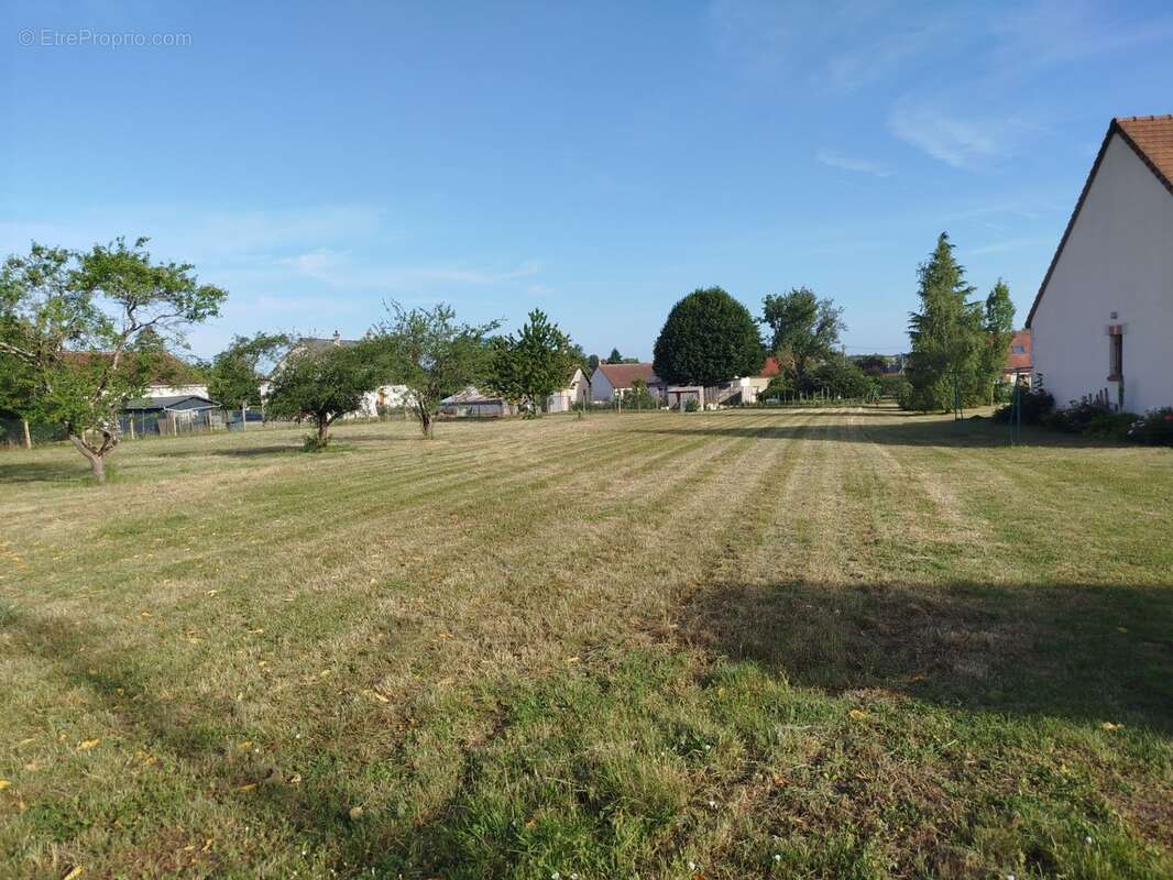Terrain à vendre de 981,00 m² SAMBIN (41) - photo 2