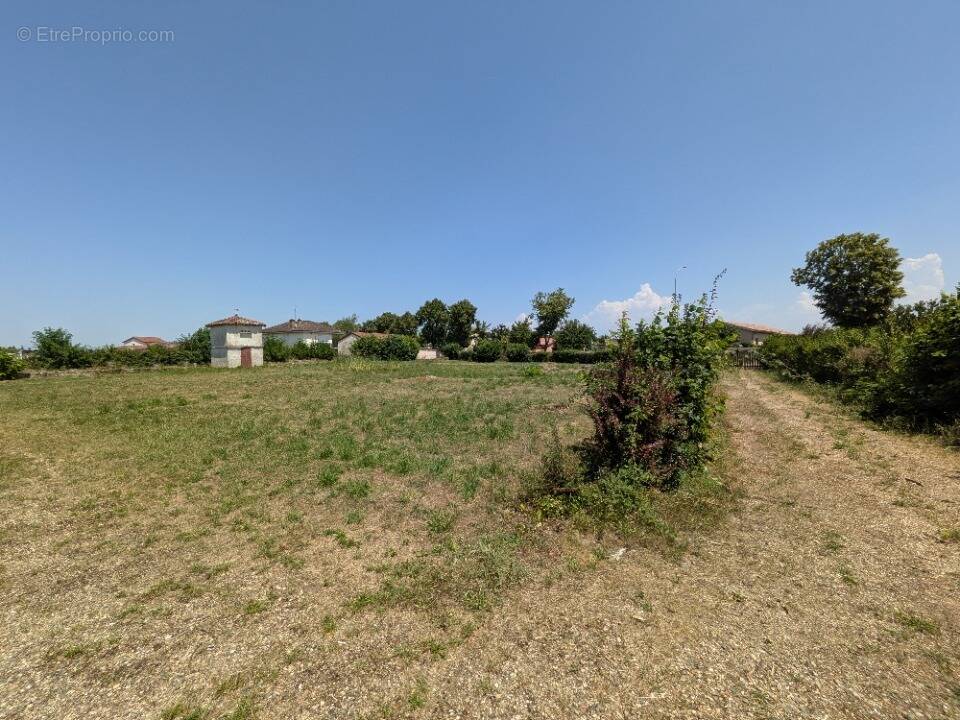 Terrain à SAINT-DIDIER-SUR-CHALARONNE
