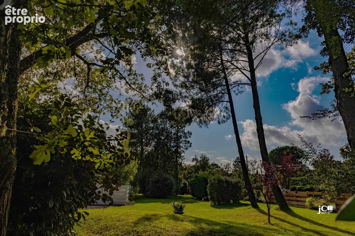Maison Vielle Saint Girons 175 m² - photo 4