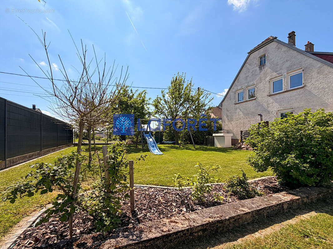 Maison à ADAMSWILLER