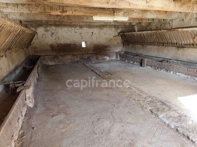 Ancienne ferme 114 m2 avec dépendances SAINT AUBIN EN CHAROLLAIS (71) - photo 4