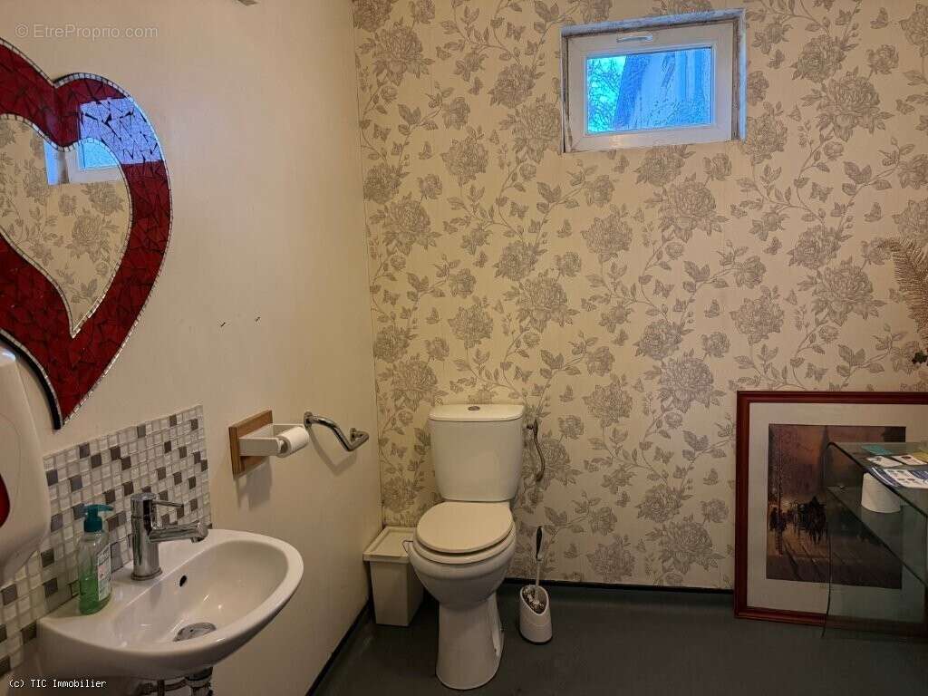 Propriété De Caractère Avec Fort Potentiel Touristique Et Commercial - photo 20