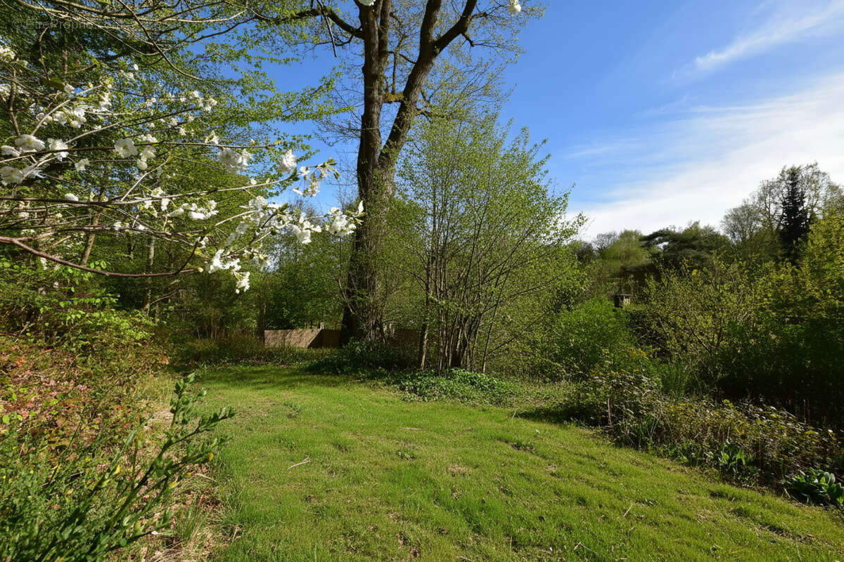 Maison à LES ESSARTS-LE-ROI