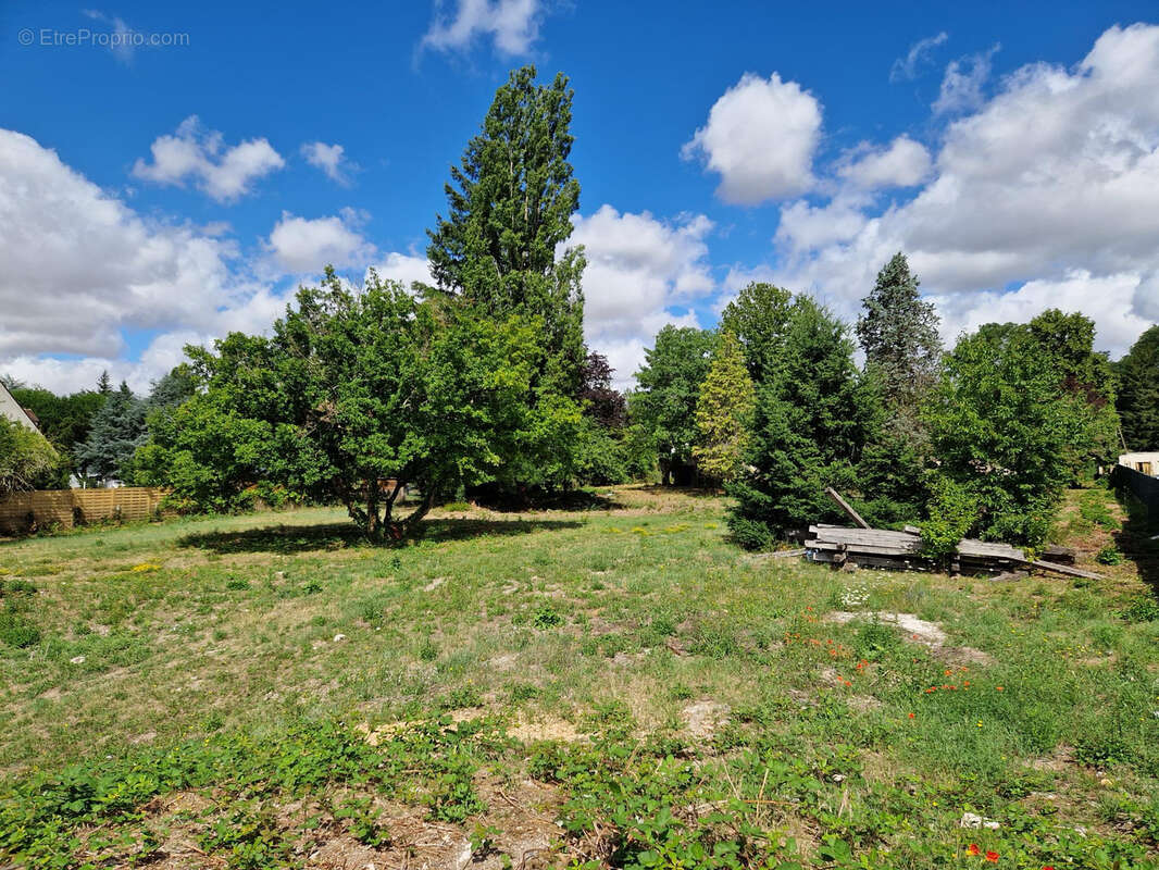 Vente exceptionnel terrain constructible bord de loire - photo 4