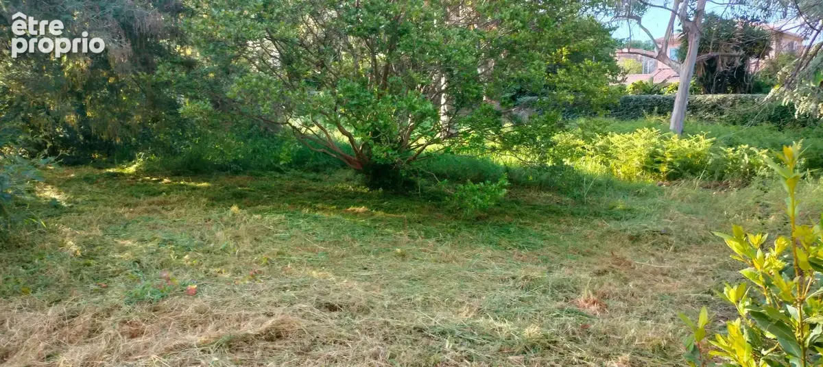 A vendre Terrain de 2200 m2, plat, arboré et clôturé à SAN NICOLAO (HAUTE CORSE) - photo 7