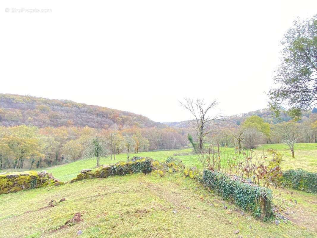 Exceptionnel : Devenez propriétaire de votre propre colline - photo 14