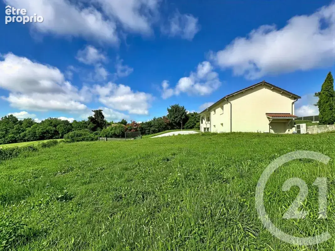 Propriété - photo 16