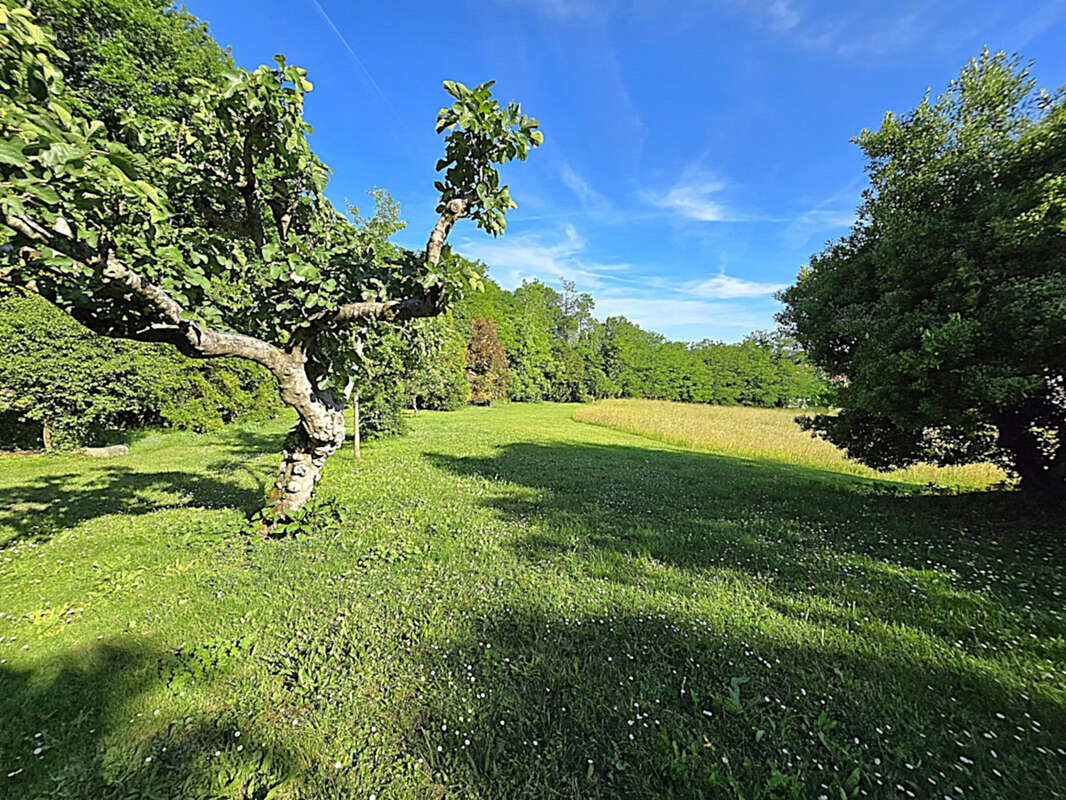 Rare - Délicieuse propriété 1,9 hectare maison rénovée et nombreuses dépendances - photo 10