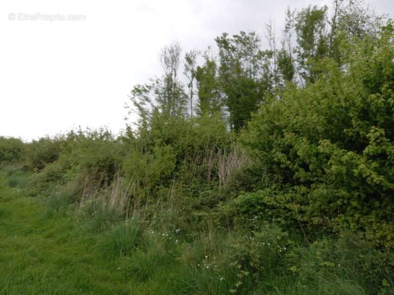 Terrain à COURTEMAUX