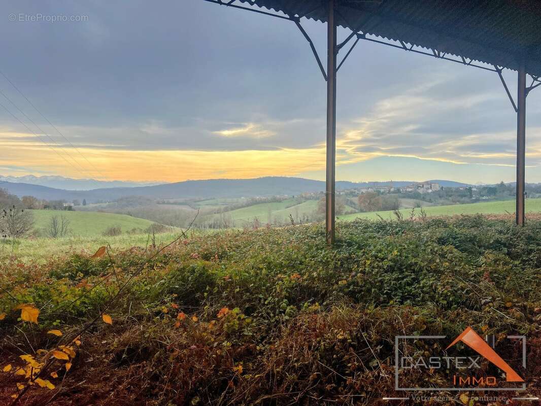 Terrain à MARTRES-TOLOSANE