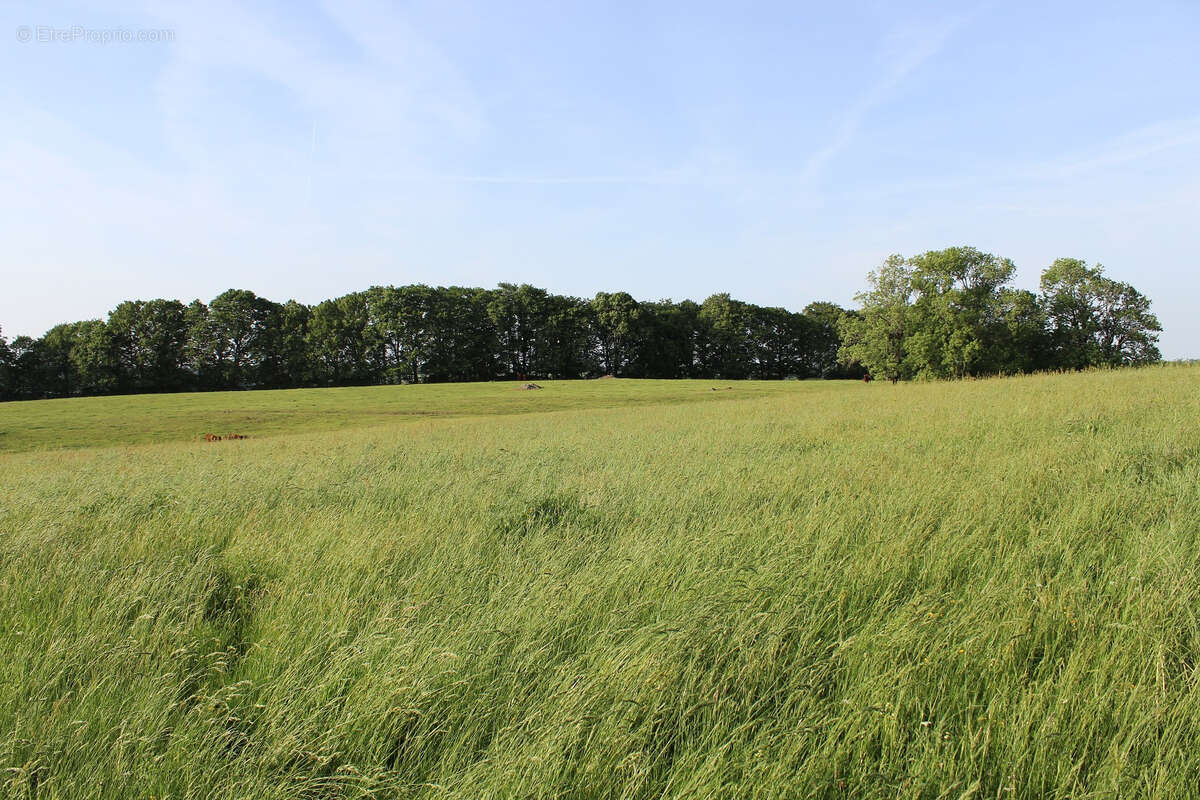 Maison à ANGLARDS-DE-SALERS