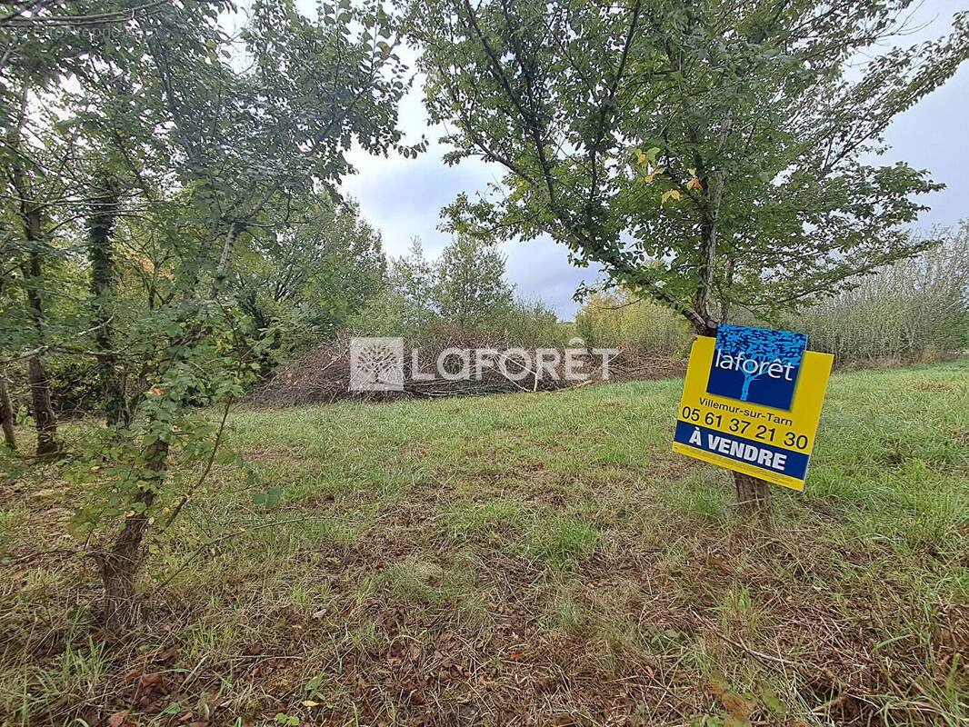 Terrain à VILLEMUR-SUR-TARN