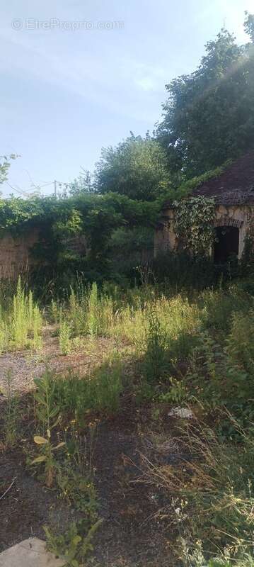 Maison à vendre 4 pièces MONTMIRAIL (51) - photo 2