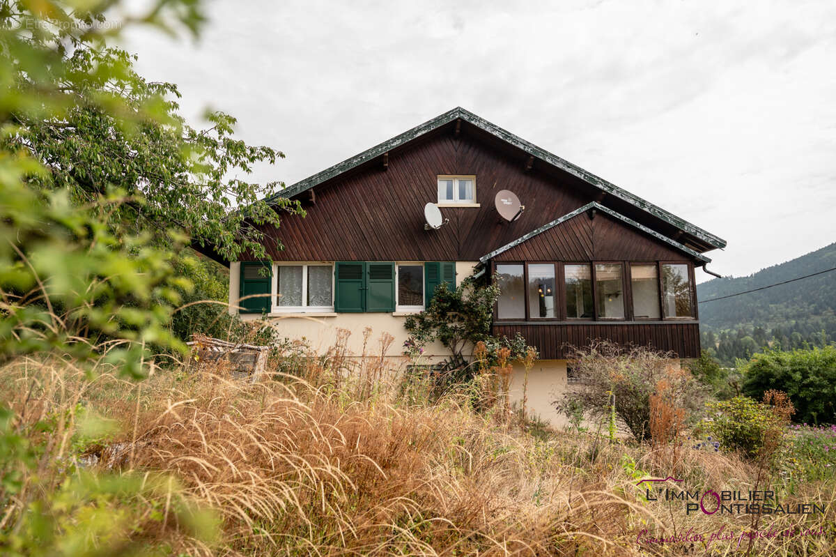 Jougne maison grand terrain proche douane - photo 2