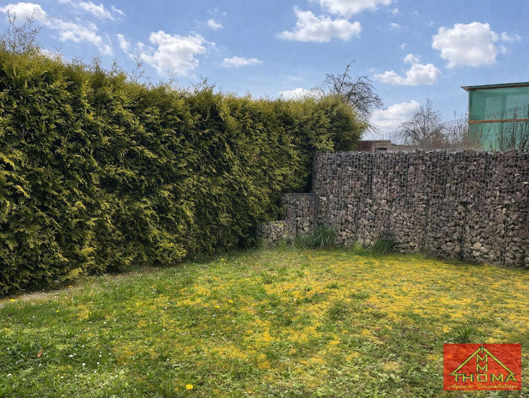 Jardin à l'arrière - Maison à WALDIGHOFEN